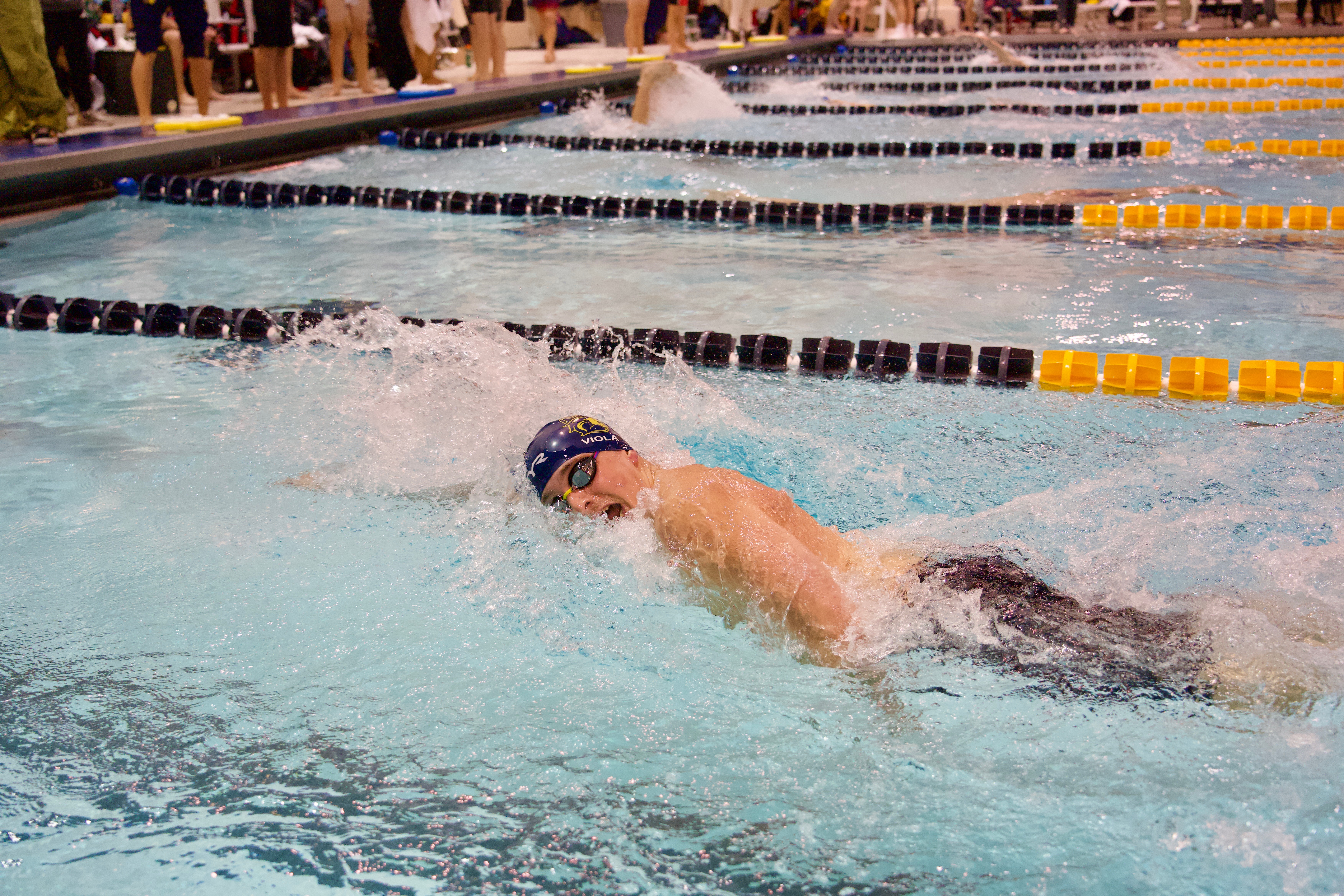 TCNJ Swimming